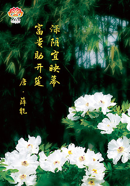 牡丹花都