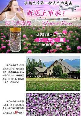 淘寶素材PSD高清分層描述模板花茶模板
