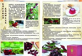 雜志內(nèi)頁排版圖片