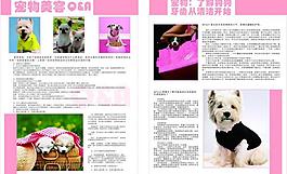 宠物杂志内页图片