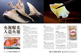 央視曝光人造魚翅 雜志內(nèi)頁圖片