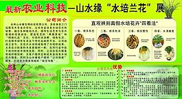 花卉 海报图片