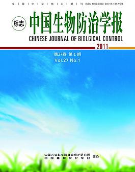 封面設(shè)計圖片