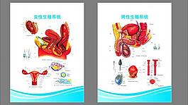 医院解剖图 （注解剖图未分层）图片