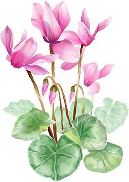 矢量鮮花