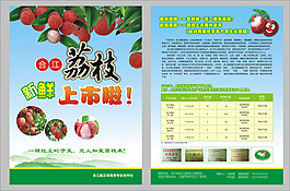 荔枝上市啦