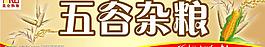 吊牌圖片