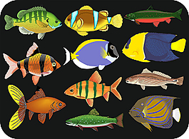 海洋生物魚類彩色標志素材