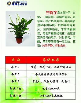植物吊牌圖片