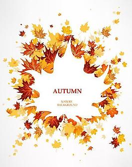 楓葉創意設計矢量素材