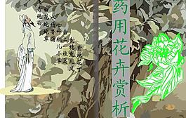 畫冊封面圖片