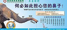 耳鼻喉篇圖片