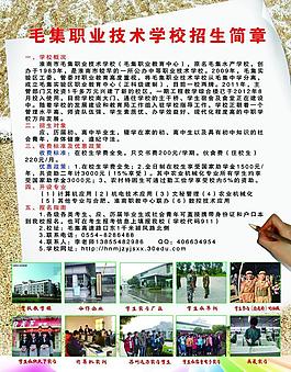 學校招生簡章圖片