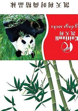 襪子吊牌圖片