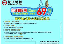 揚(yáng)子地板圖片