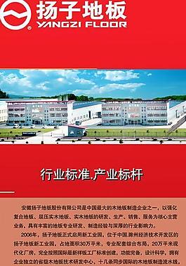 揚子地板圖片