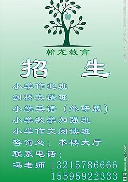 招生海報 綠色圖片