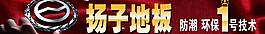 扬子地板图片