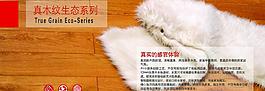 揚子地板圖片
