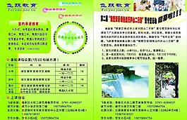 暑期招生宣傳單圖片