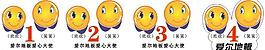 愛爾地板圖片