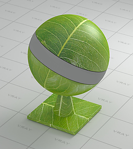 树叶3d模型