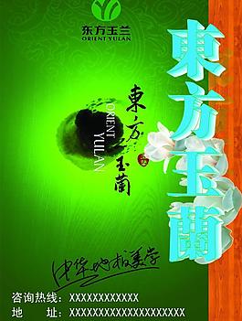 东方玉兰地板图片