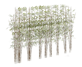 植物模型素材
