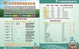 教育培訓宣傳單圖片