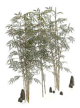 植物模型素材