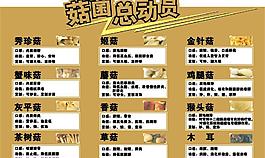 菇菌類吊牌圖片