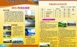 招生簡章圖片
