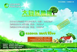 大自然地板圖片
