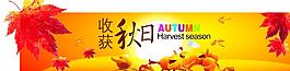 秋日 吊牌圖片