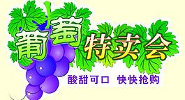 葡萄特賣會(huì)吊牌圖片