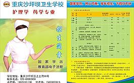 沙区招生简章图片