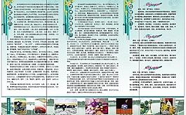 藝術(shù)類招生折頁圖片