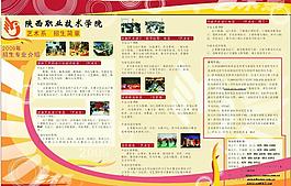 展板 學校招生 海報 素材圖片