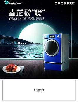 小天鵝 春花秋悅圖片