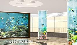 水族館 熱帶魚圖片