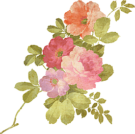 花朵