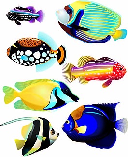 五彩繽紛的魚(yú)