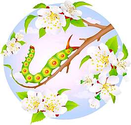 杏花樹枝上的小蟲