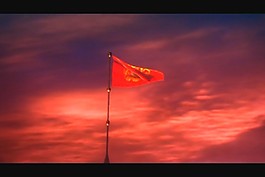 情人節(jié)視頻素材模板下載
