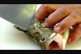 紅燒魚制作視頻素材下載