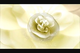 婚禮視頻素材素材下載
