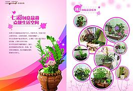 盆栽雜志圖片