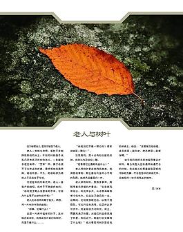 杂志内页图片