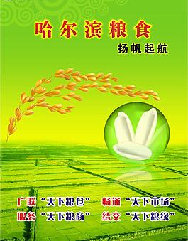 糧食雜志封面圖片