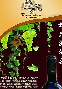 紅酒展架圖片